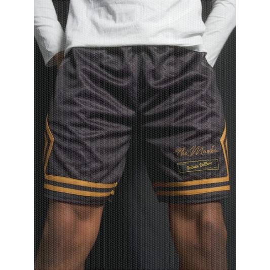 Salute To Basketball Legends, Special Edition Basketball Shorts, 3D Printed Sports Shorts, Quick Drying Basketball Jersey Shorts
