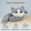 50/60/65cm Long Arm Stuffed Animal Arm Weighted Soft Plush Pillow Raccoon Koala Bear