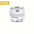 250ML Stainless Steel Electric Garlic Chopper Sturdy Durable Garlic Ginger Kitchen