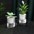 Self Watering Flowerpot Indoor Succulent Hydroponic Plants Pot Mini Planter Pots Fish