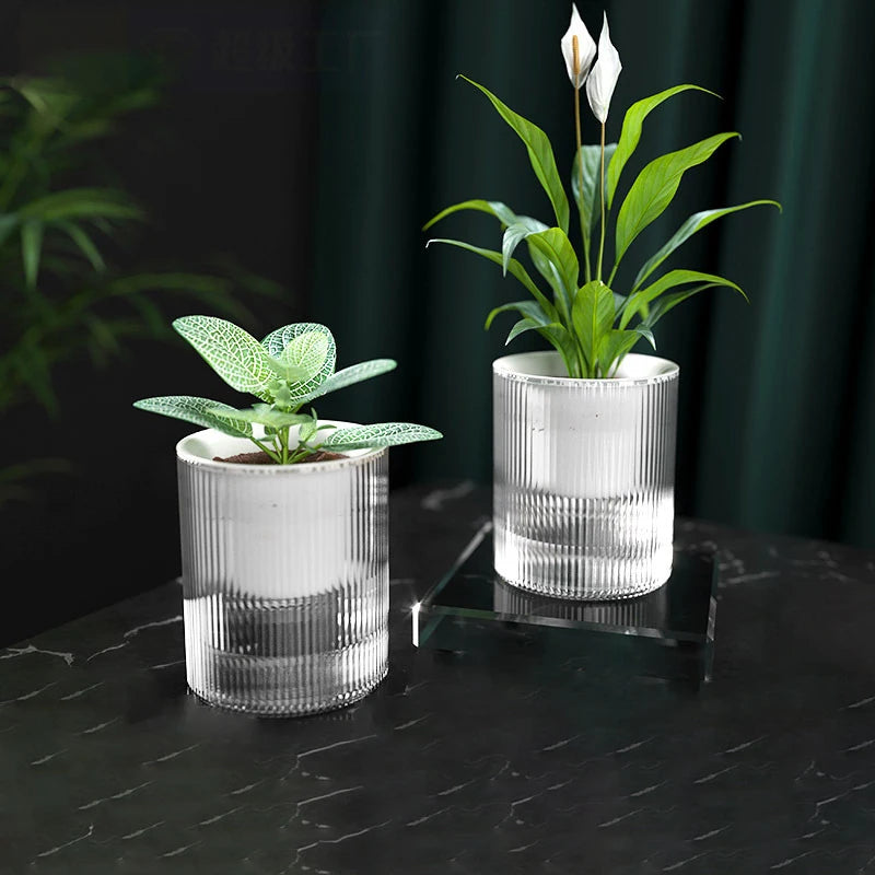 Self Watering Flowerpot Indoor Succulent Hydroponic Plants Pot Mini Planter Pots Fish