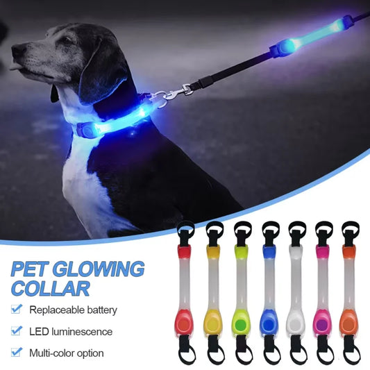 Dog Anti Lost Safety Glowing Collar Multi-Color Pendant Outdoor Waterproof Warning Led