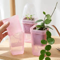 Pink Self Watering Pot with Humidity Dome for Indoor Plant,Clear Seed Starter Cup,Tissue Culture Acclimation Kit,Alocasia Corm P