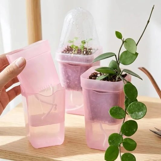 Pink Self Watering Pot with Humidity Dome for Indoor Plant,Clear Seed Starter Cup,Tissue Culture Acclimation Kit,Alocasia Corm P