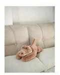50/60/65cm Long Arm Stuffed Animal Arm Weighted Soft Plush Pillow Raccoon Koala Bear